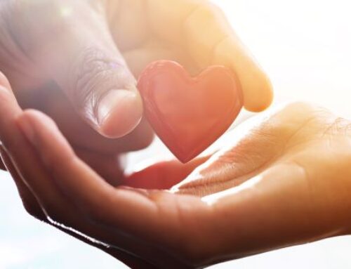 Director’s Note:  Create A Lasting Legacy