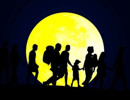 Oasis Explores:  What’s Really Going On With Immigration?