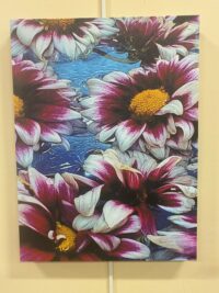 Stylized color photograph of flowers