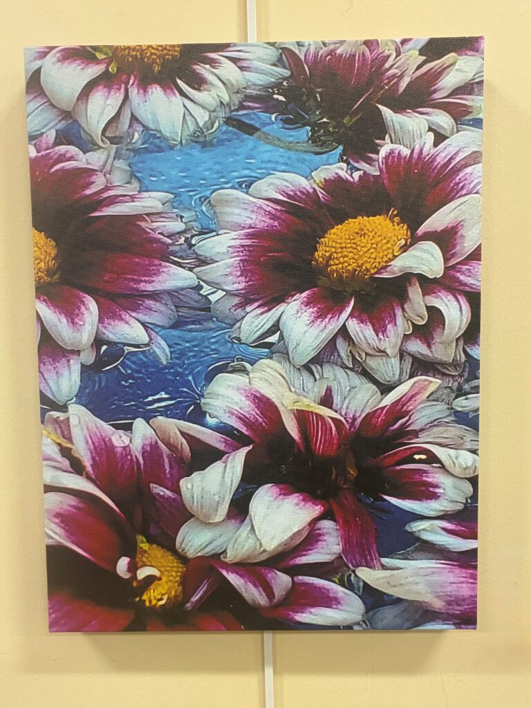 Stylized color photograph of flowers